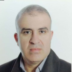 Ali Elshibli